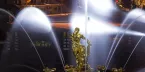 Проезд на Метеоре в Петергоф на Праздник закрытия фонтанов - уменьшенная копия фото №1