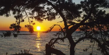 из Сортавалы