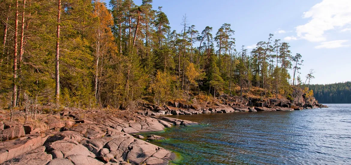 Весна, дикая природа Русского Севера, остров Валаам