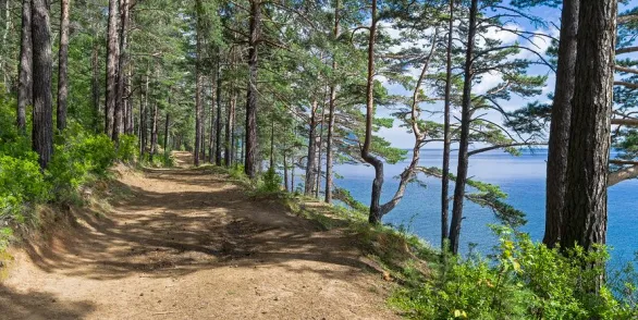 Водная экскурсия в поселок Большие Коты