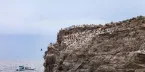 Озеро Байкал, остров Харанцы
