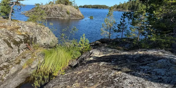 Шардонские острова