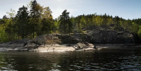 Шардонские острова