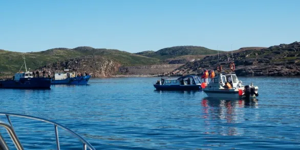 Териберка: Киты (из Мурманска)